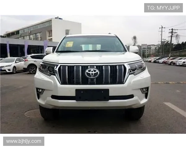 宝马集团赞助的德甲球队名单及商业合作背景